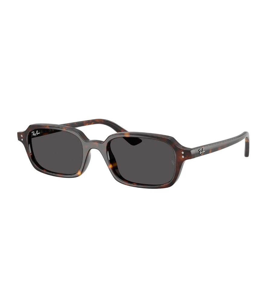 RAYBAN 4455 ZURI 1359/31