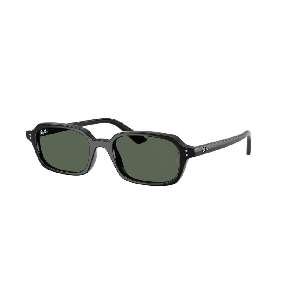 RAYBAN 4455 ZURI 6677/71