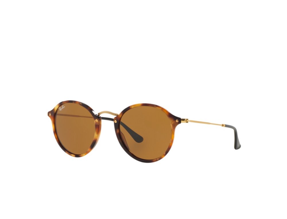 RAYBAN 2447 ROUND FLECK 1160