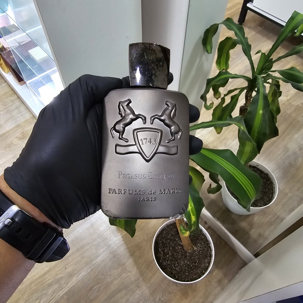 MARLY PEGASUS EXCLUSIF