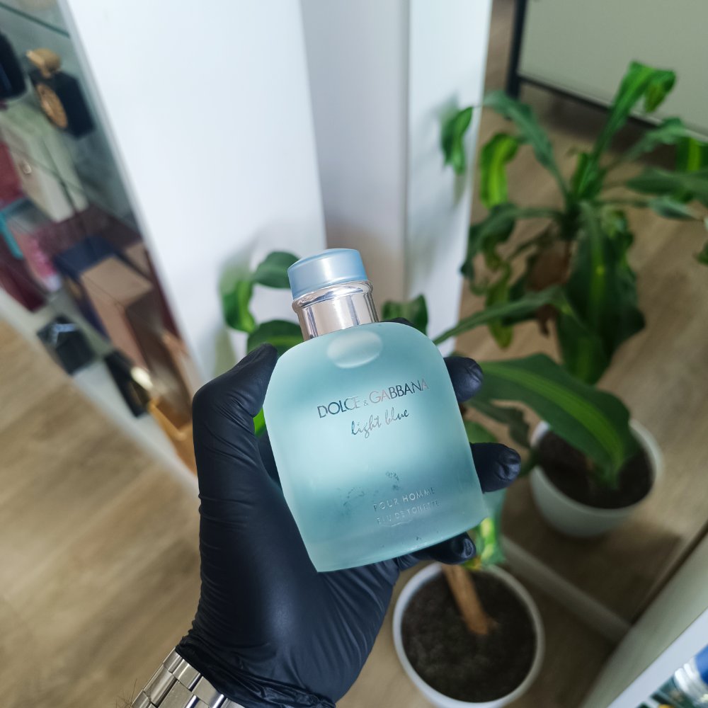 LIGHT BLUE DOLCE Y GABBANA