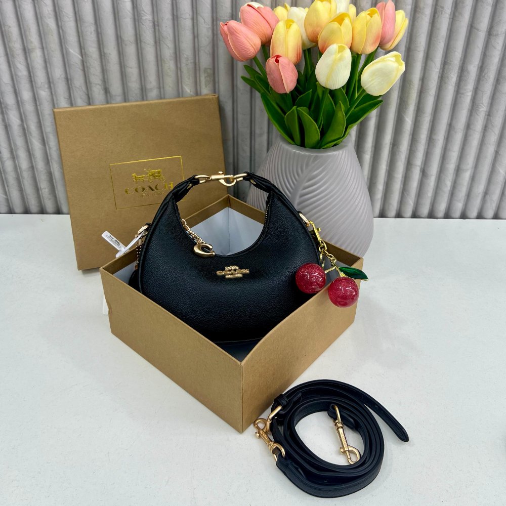 HandBag Coach