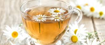 AROMATICA