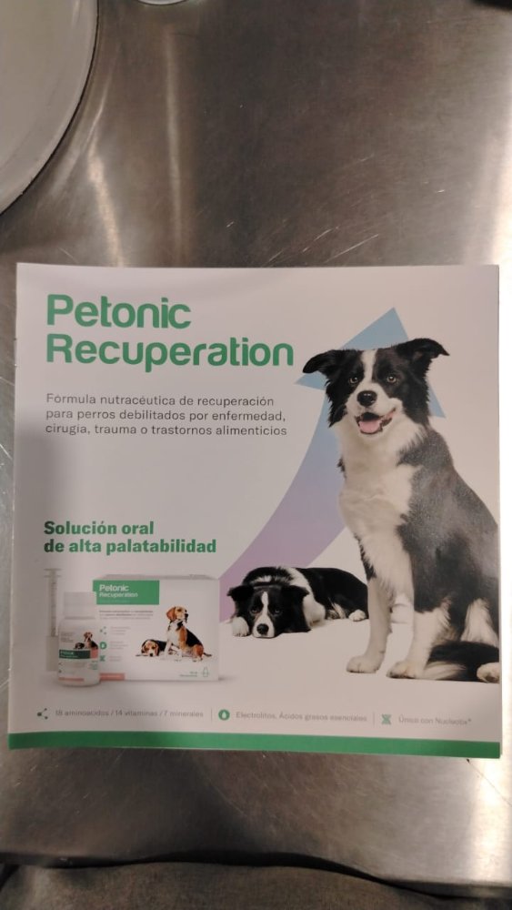 BIFOLIAR PETONIC PERRO