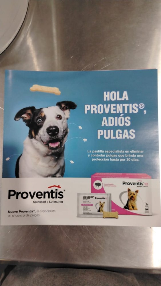 BIFOLIAR PROVENTIS