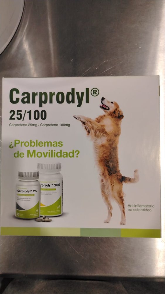 VOLANTE DE CARPRODYL