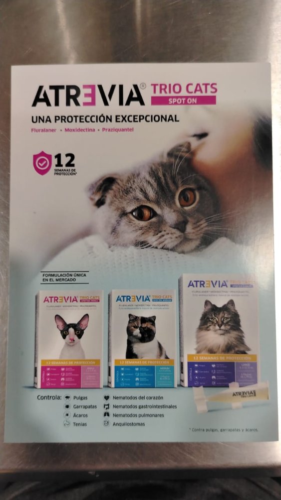 VOLANTE ATREVIA TRIO CATS
