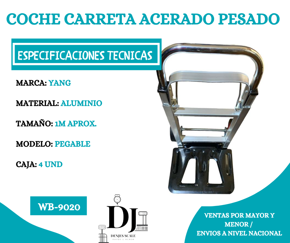 9020-COCHE YANG