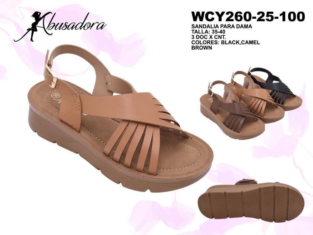 D-WCY260-25-100