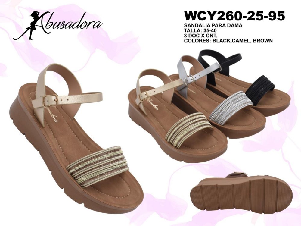 D-WCY260-25-95