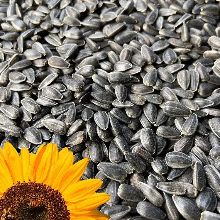 GIRASOL 20KG