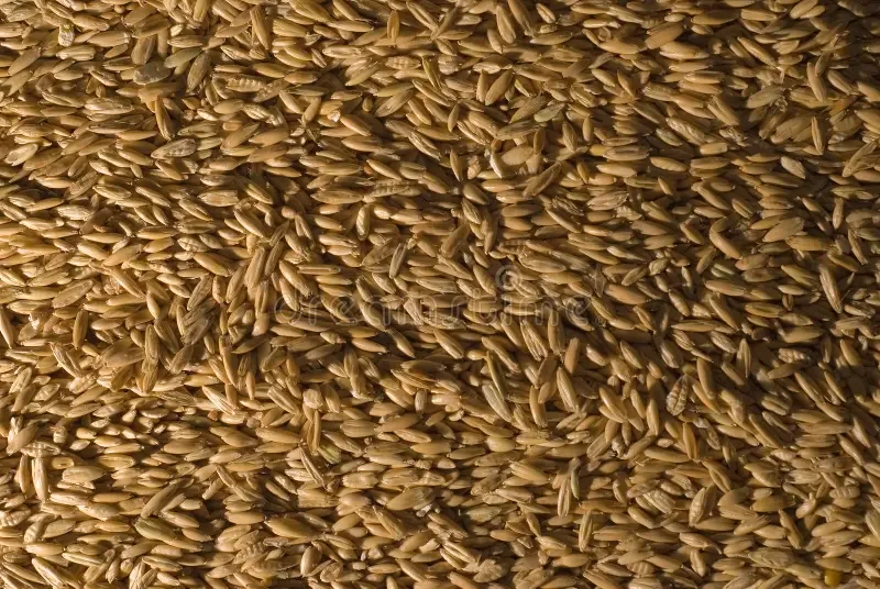 AVENA 30 KG