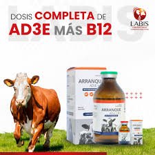 ARRANQUE AD3E+B12X50 ML