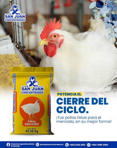 FINALIZADOR SAN JUAN  25 LBS