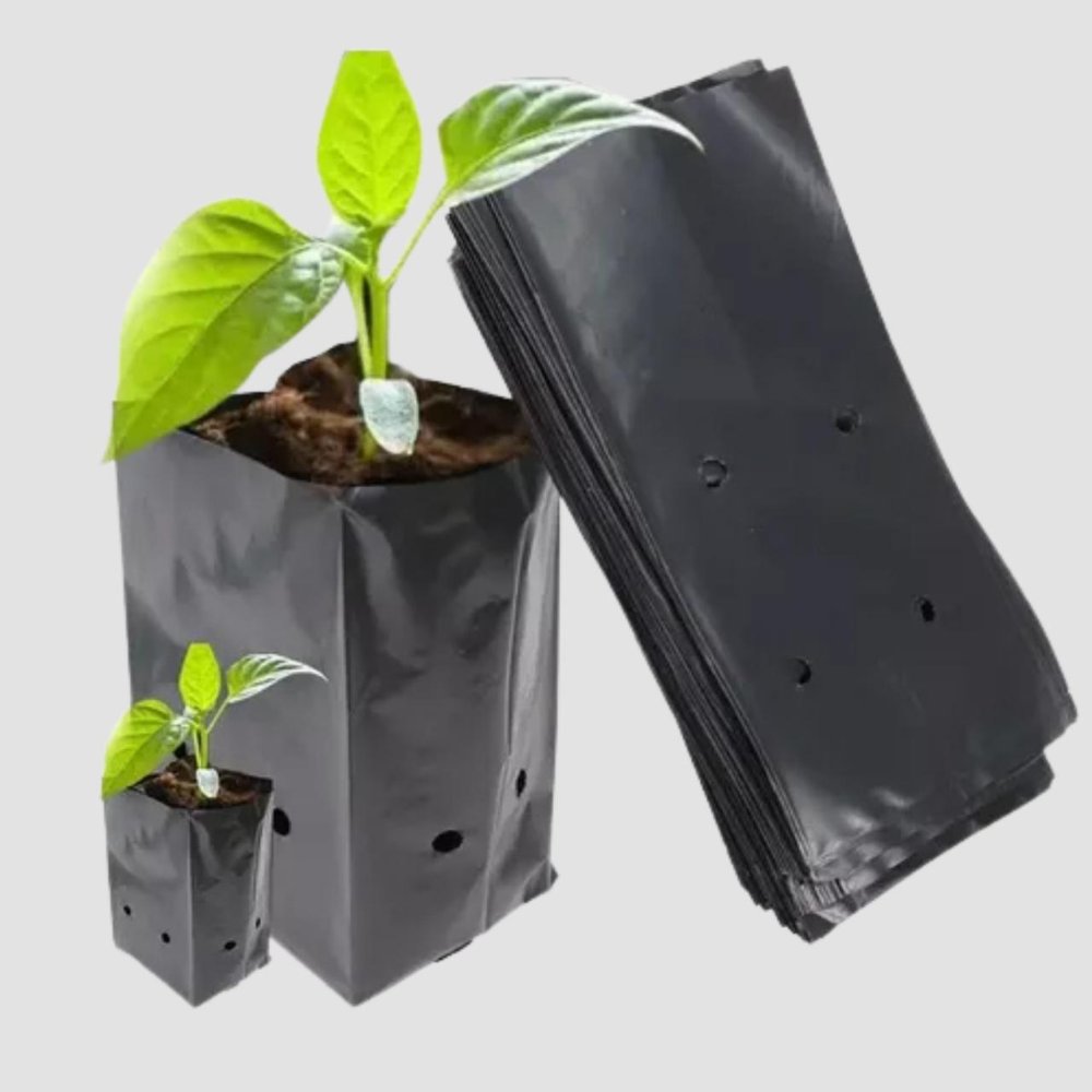 BOLSA DE ALMACIGO 100 BLS