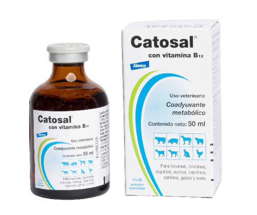 CATOSAL  50 CC