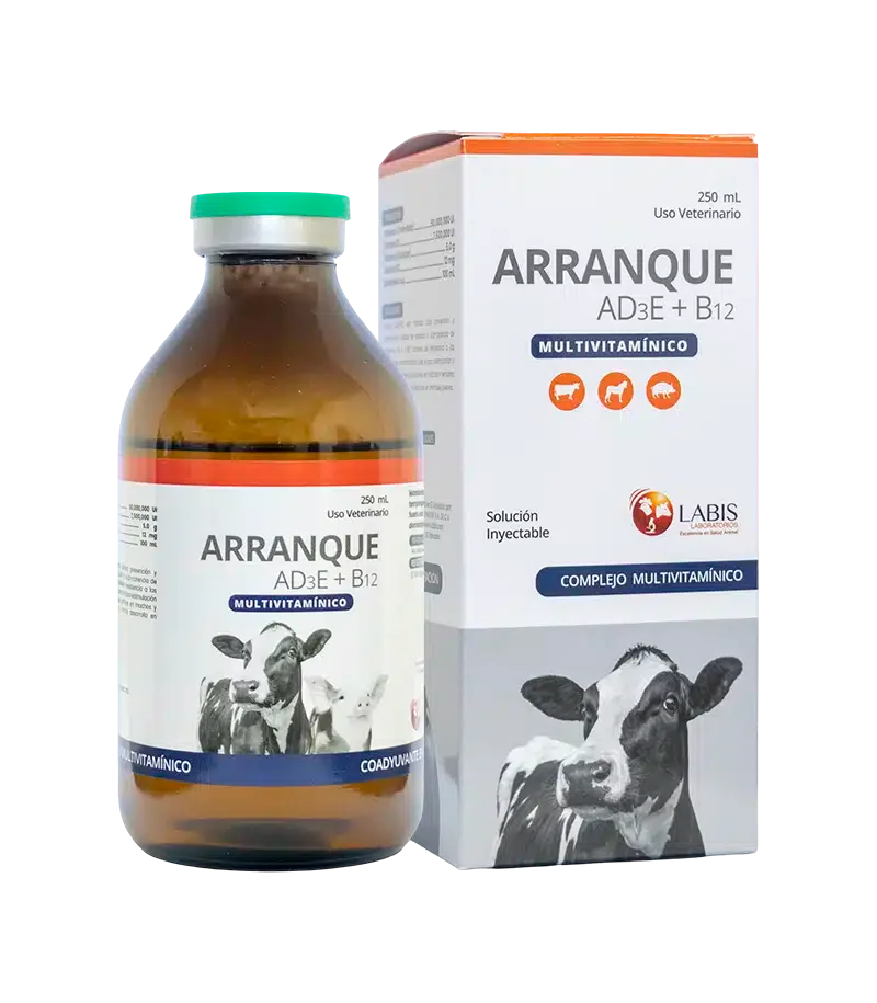 ARRANQUE AD3E+B12X20 ML