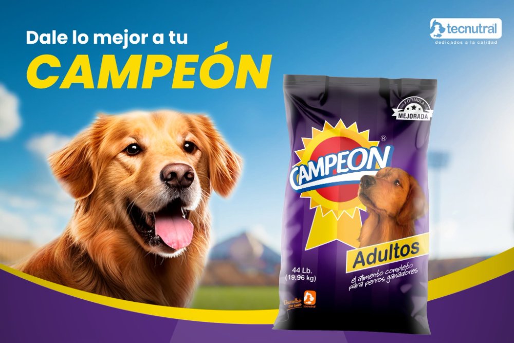 CAMPEON ADULTO 44 LBS
