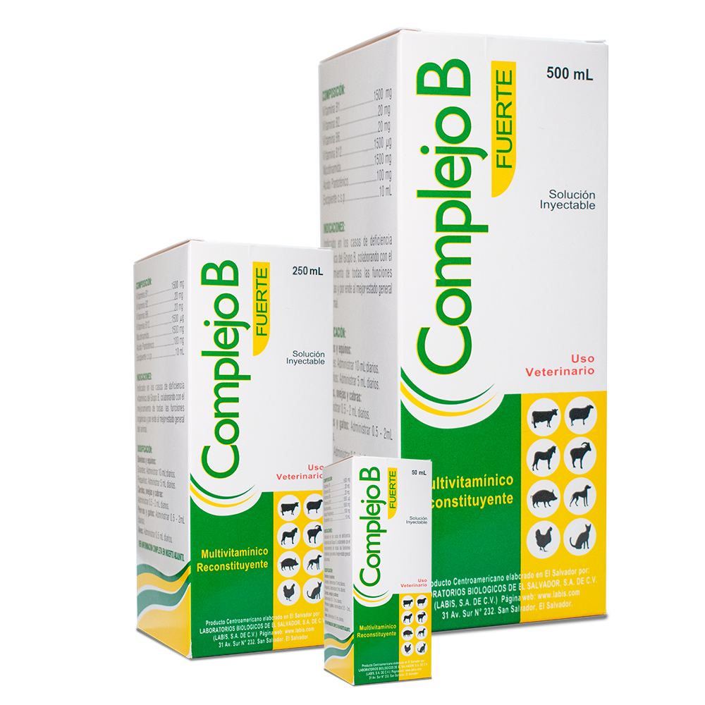 COMPLEJO B FUERTE 100 ML