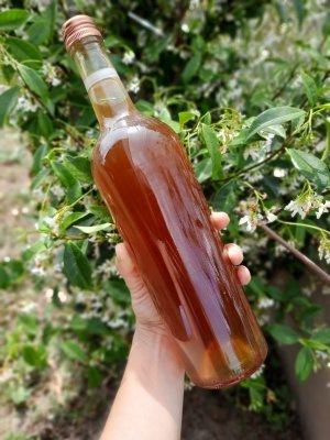 BOTELLA DE MIEL