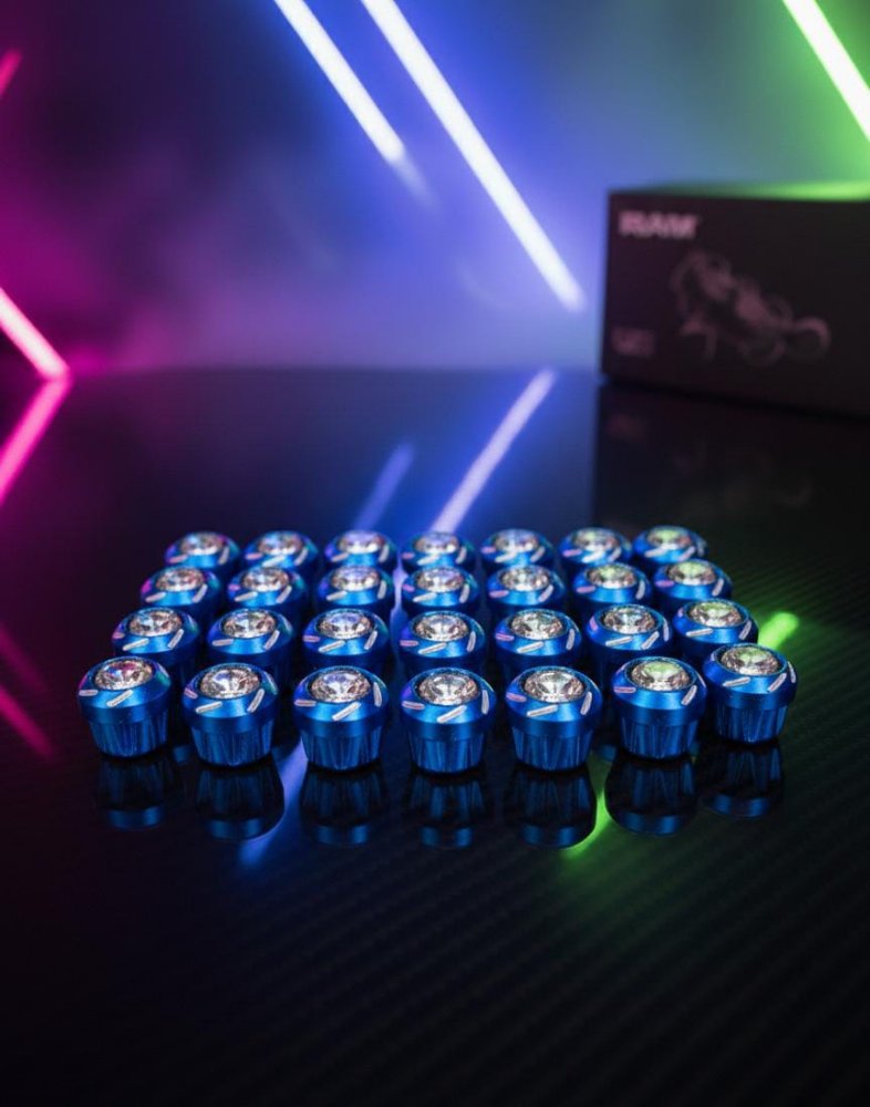 W-0069A   TORNILLOS PARA PLACA CON TUERCA AZUL UNIVERSAL