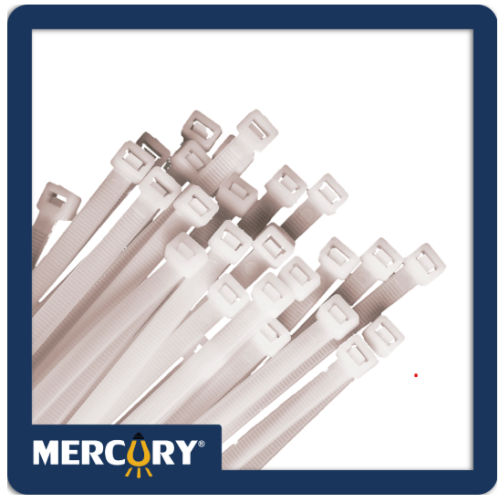 AMARRE PLASTICO EN NYLON 25 CM BLANCO X 100 UND