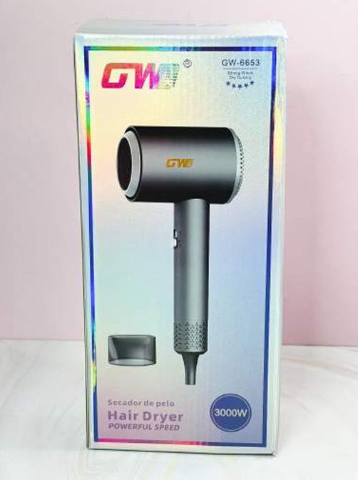 Secador de cabello GW 6653
