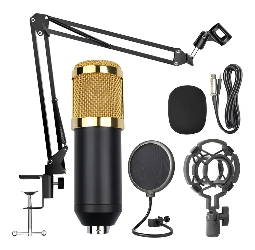 Kit Profesional Microfono Condensador
