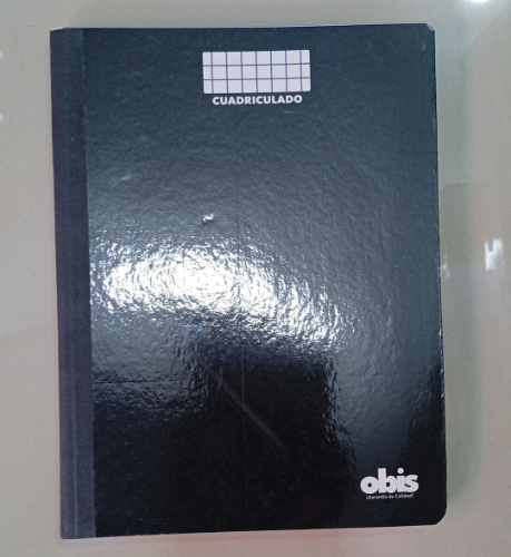 CUADERNO CUADRICULADO OBIS