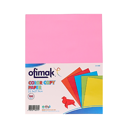 PAPEL COLOR SURT.PASTEL 8X11 100/1 5 COL.