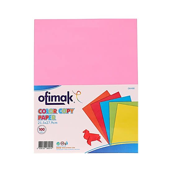 PAPEL COLOR SURT. 8.5 X 11 100/1