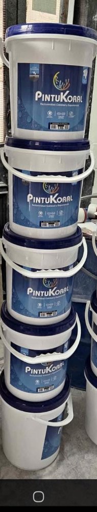 CUÑETE PINTURA PINTUKORAL GRIS