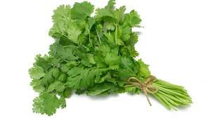 ALINOS VERDES