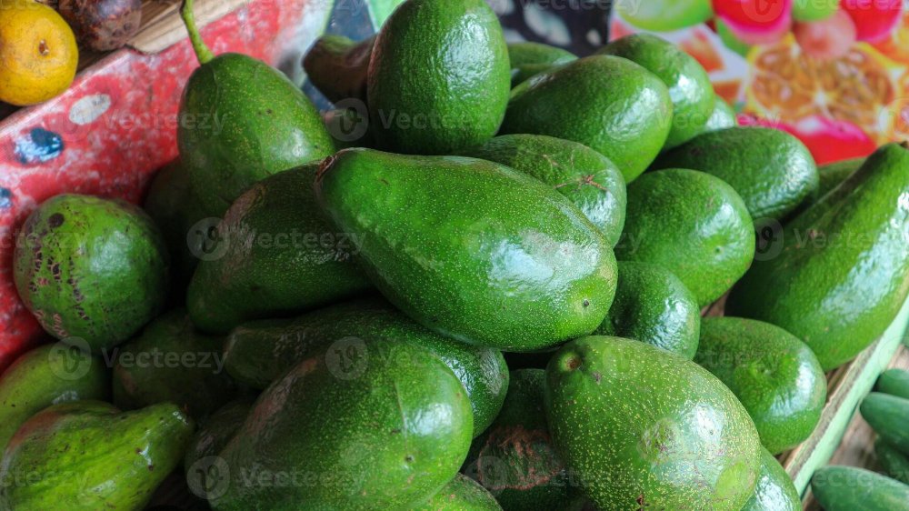 AGUACATE