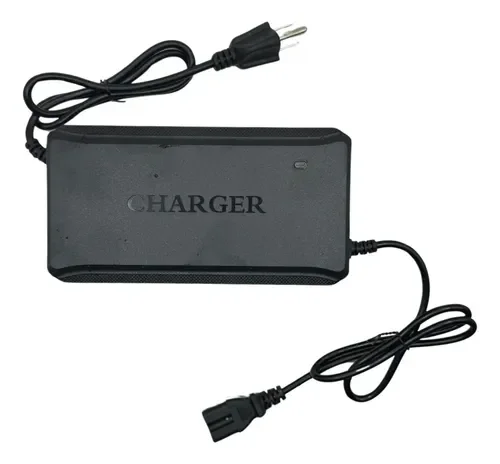cargador 60-20