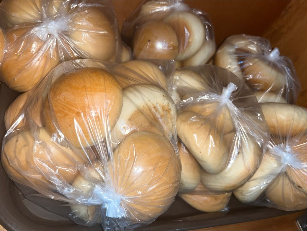 Pan mogolla X 6000