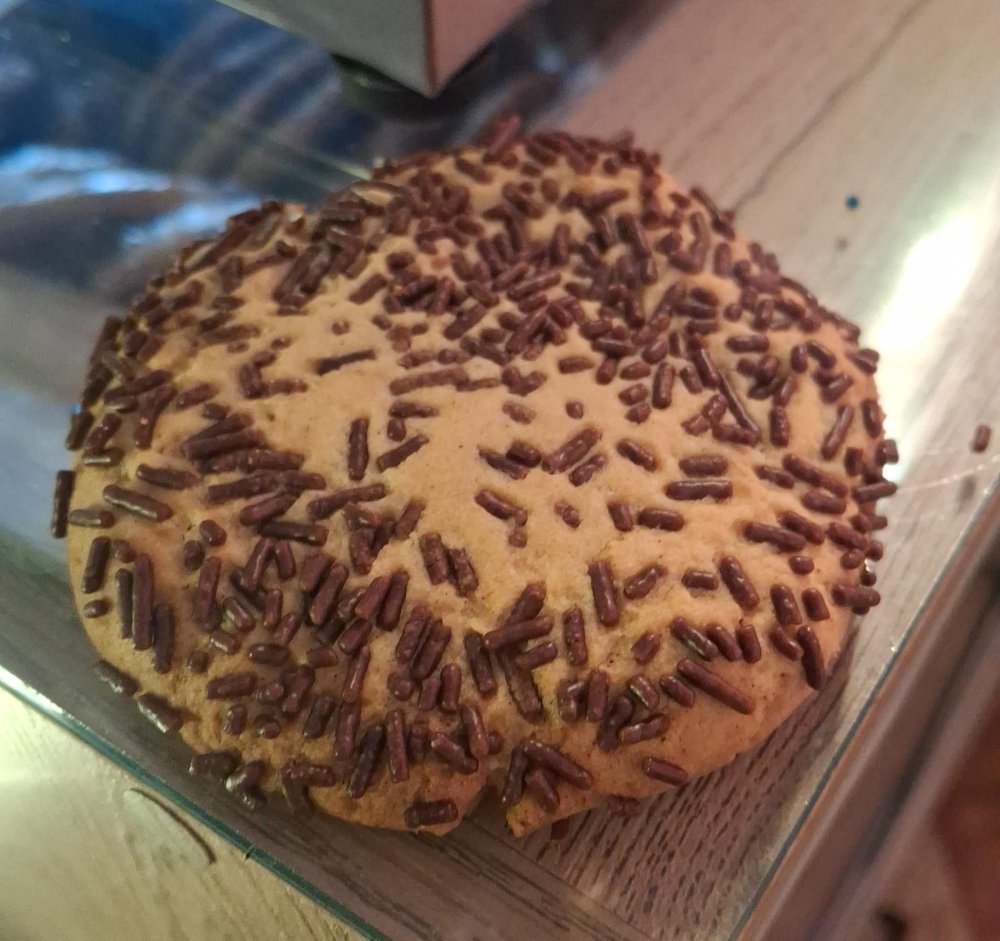 GALLETA CHISPAS DE CHOCOLATE