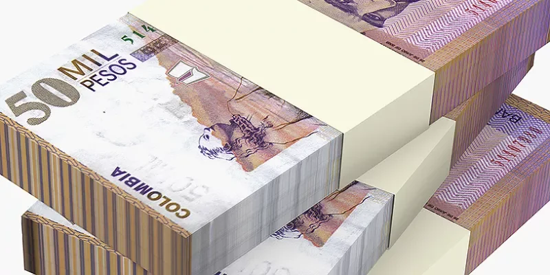 Abono de torta de una libra de 650000