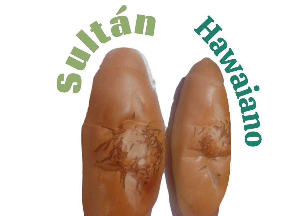 SULTAN HAWAIANO
