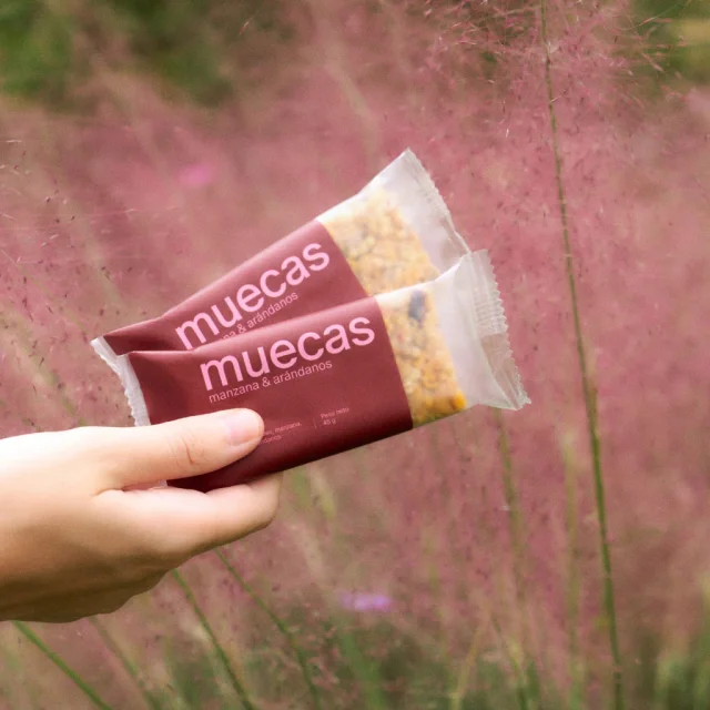 Barrita de manzana y arandanos - Muecas