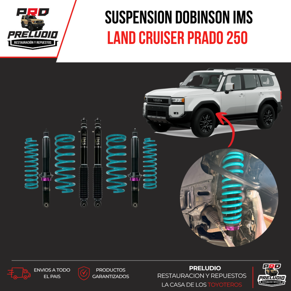 SUSPENSION DOBINSON IMS PRADO 250