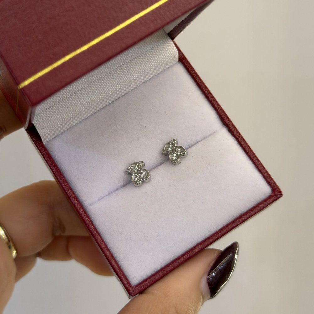 ARETES EN PLATA TOUS CIRCON