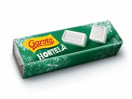 GAROTO PASTILHA HORTELÃ