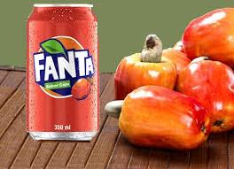 FANTA CAJÚ LATA 350ml