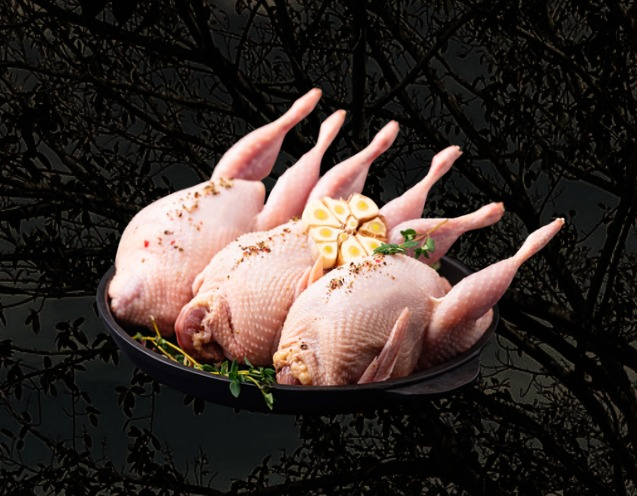 GOURMET-CODORNIZ 3 PIEZAS paq.