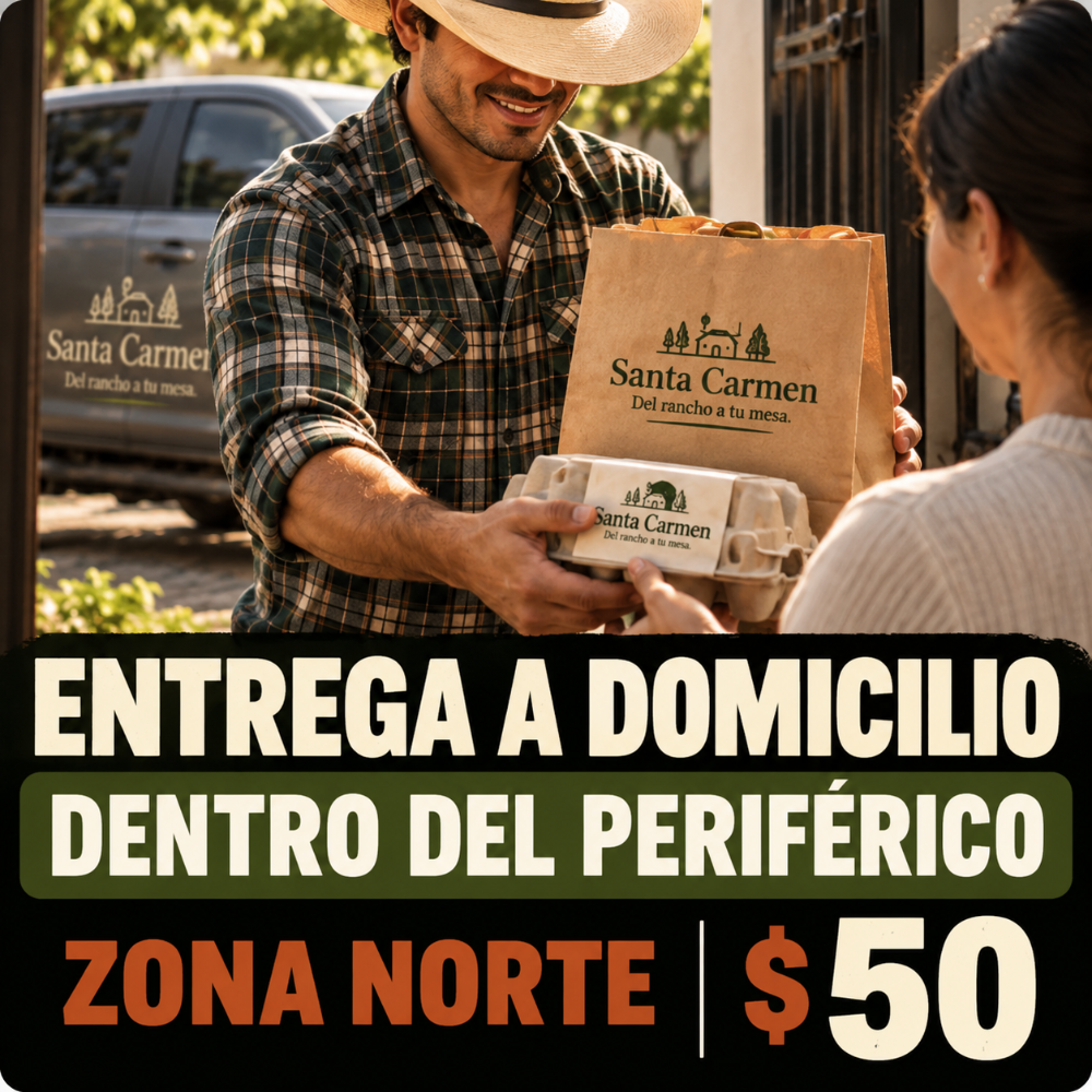 1 ENVIO DENTRO DE PERIFERICO NORTE