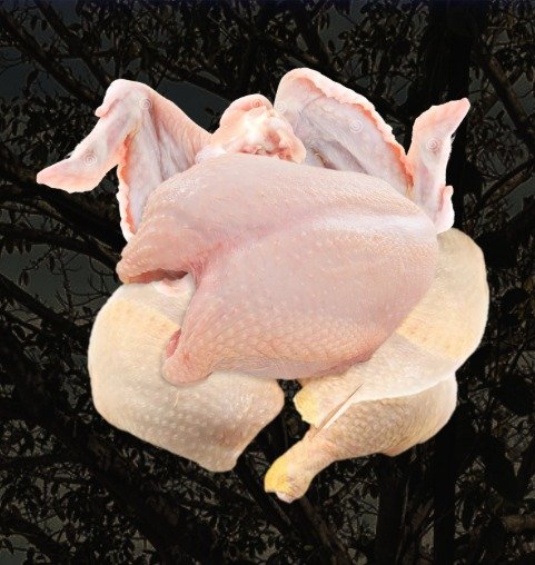 POLLO EN PIEZAS LIBRE PASTO 2.5 KG APROX