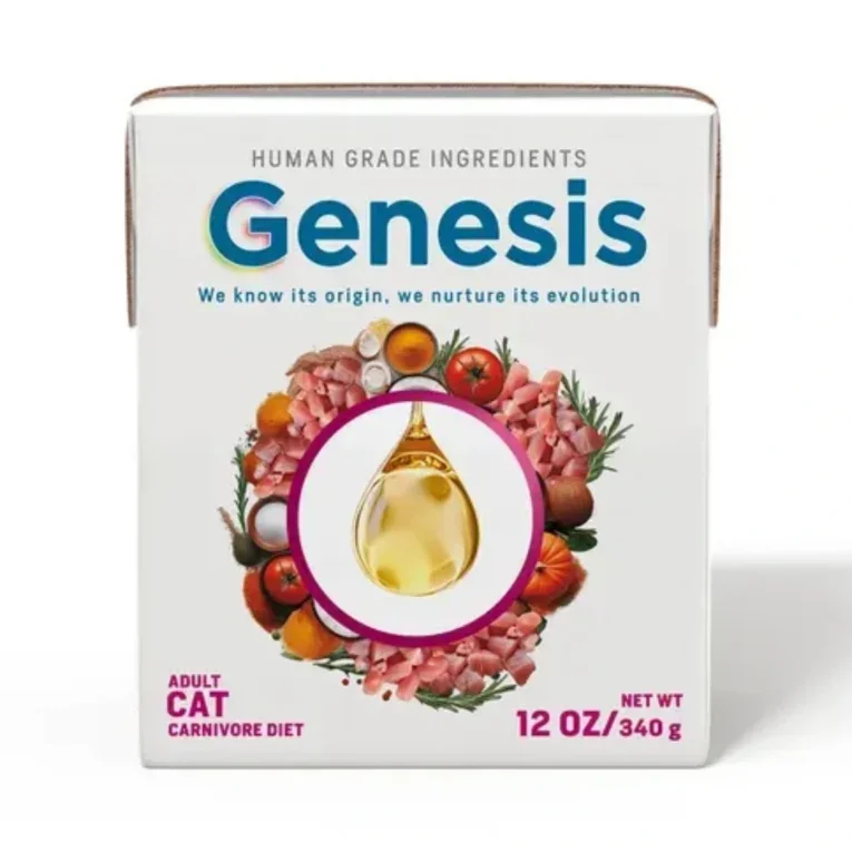 Genesis Gato