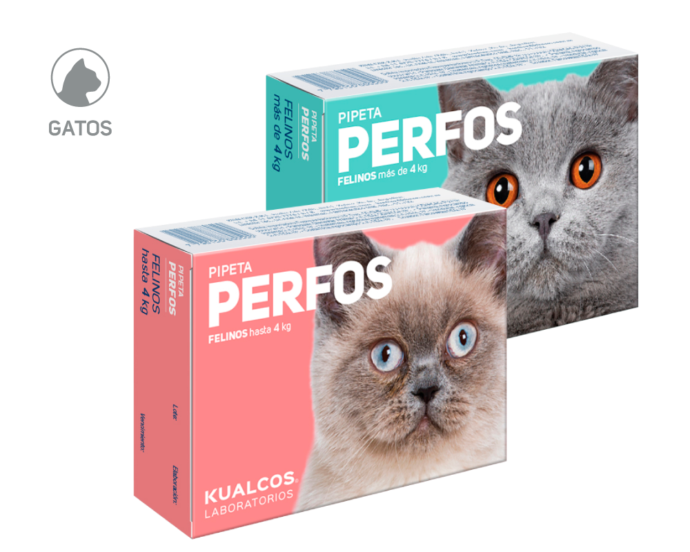 Pipeta Perfos Felino < 4kg
