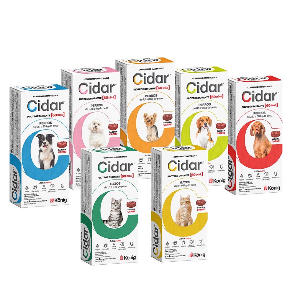 Cidar gatos (1.5 a 3kg)